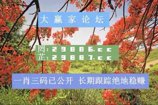 新澳2025今晚特马开奖结果和黄金白银原油大涨与黄金白银原油大涨原因