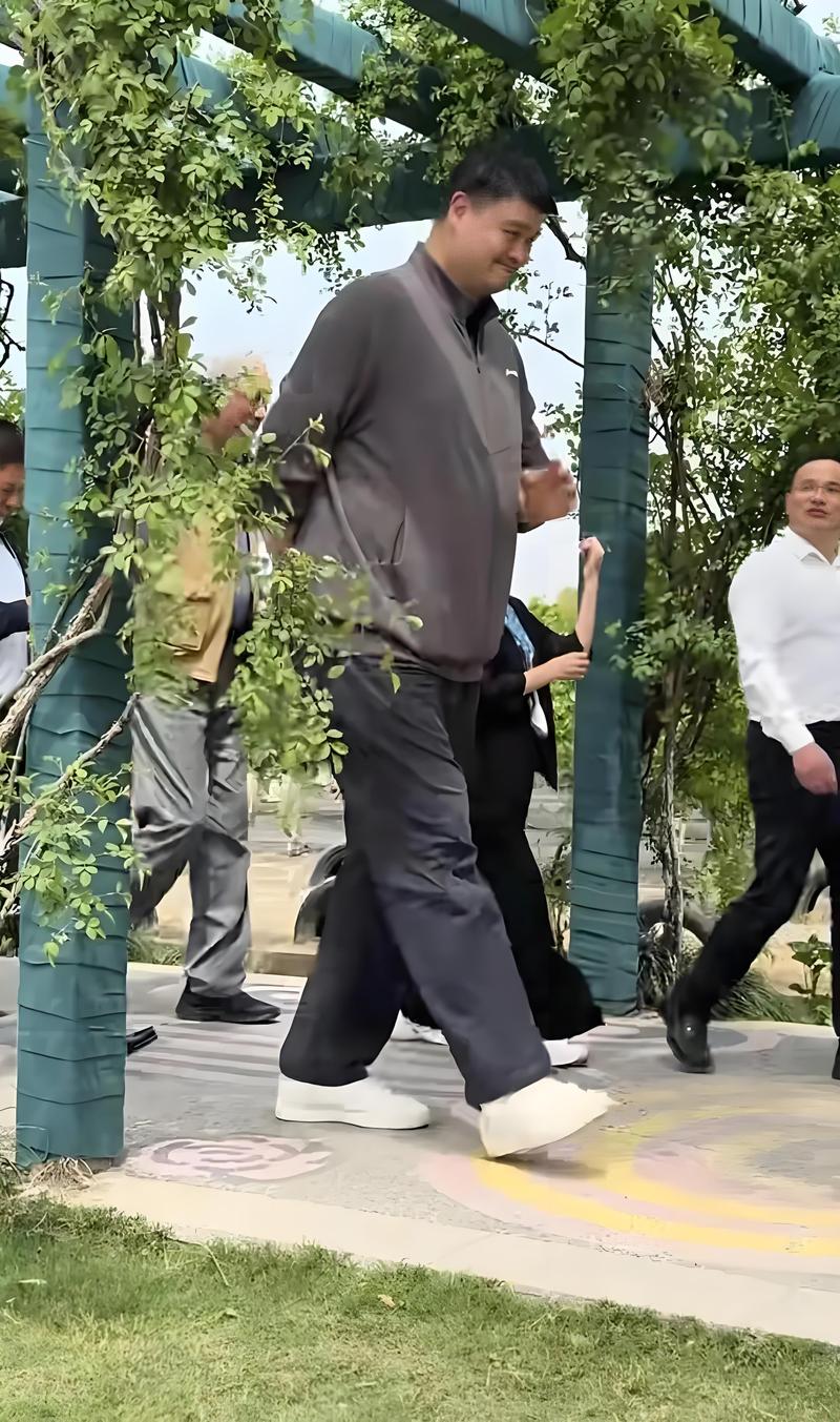 2025新澳门天天开奖记录图片及价格表和45岁姚明训练照曝光与45岁姚明训练照曝光视频